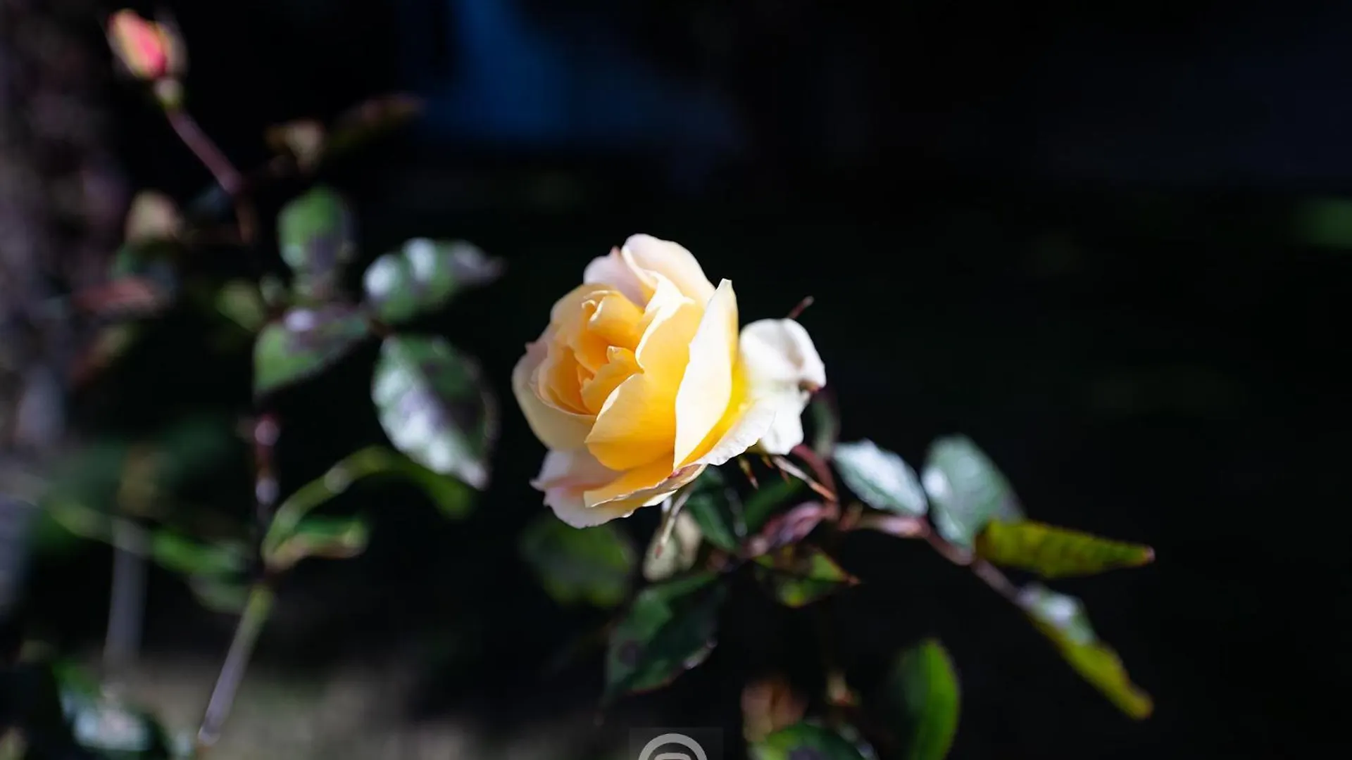 Biora Hospitality Bed & Breakfast Serri